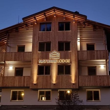 Naturae Lodge Wellness & Spa Alleghe Exterior photo